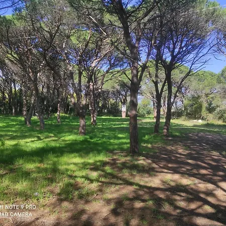 Apartment Sul Mare A Sa Preta Ruja