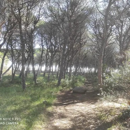 Sul Mare A Sa Preta Ruja * Siniscola